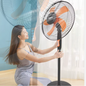 Mitshu Fan - Stand