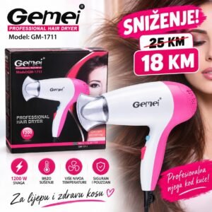 Gemei - Professional Hair Dryer - GM-1711